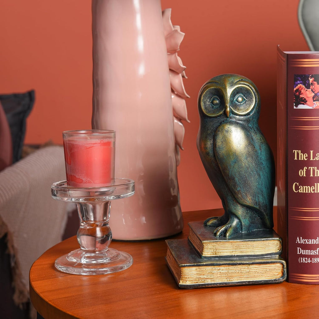 Book Ends for Shelves, Owl Decorative Bookends Bronze Bird Book Stopper Unique Kids Book Holders with Anti-Slip Base Luxurious Bookends for Kids Rooms Office Home Decor(Bronze)